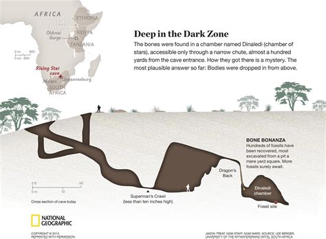 New human ancestor Homo naledi hominin discovered - Business Insider