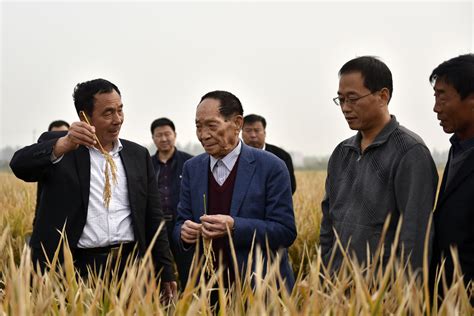 China's Yuan Longping dies; rice research helped feed world