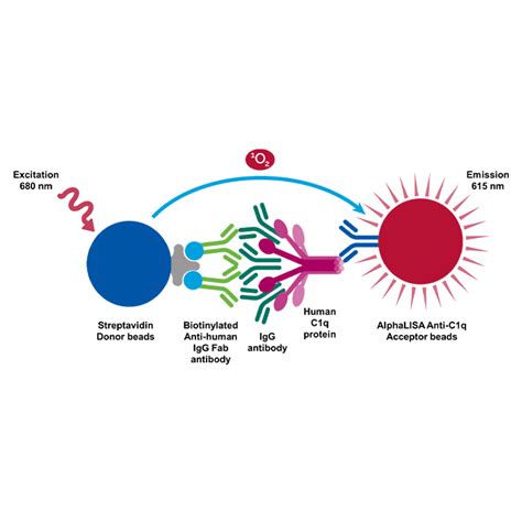 AlphaLISA human C1q Binding Kit, 5,000 Assay Points | PerkinElmer