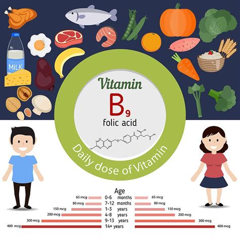 Best 17 Vitamin B9 - Folic Acid ideas on Pinterest | Folic acid, Vitamins and Med school