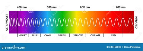 Visible Light Spectrum, Infared And Ultraviolet. Electromagnetic Visible Color Spectrum For ...