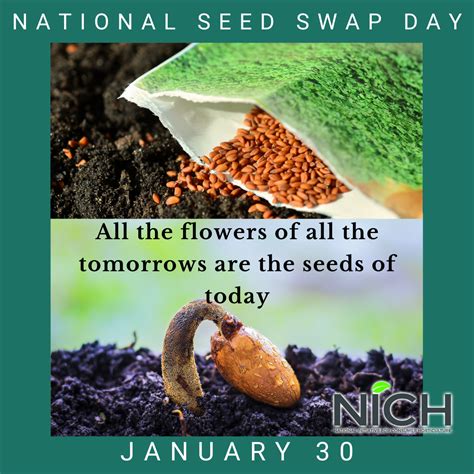 Celebrate National Seed Swap Day