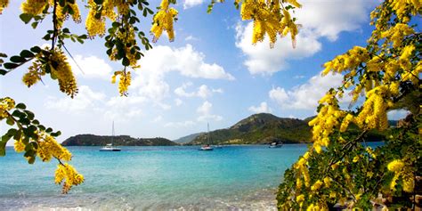 7 Best Things to Do in St. John’s, Antigua