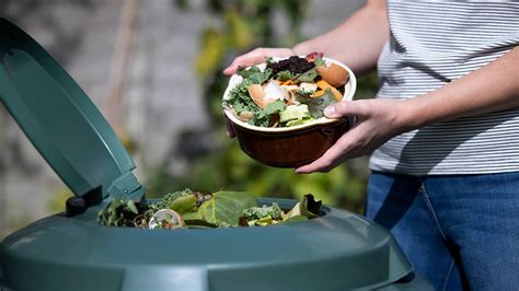 What is composting? Turn food scraps into gardening gold