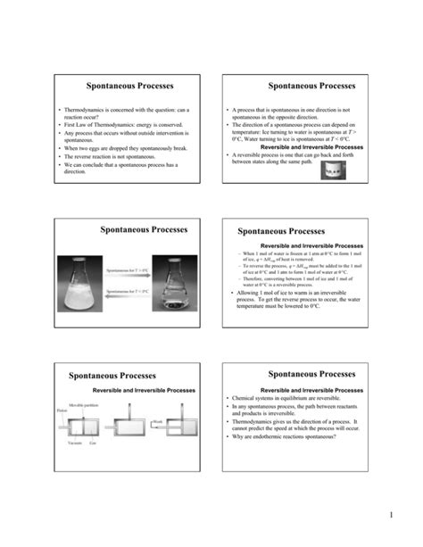 Spontaneous Processes