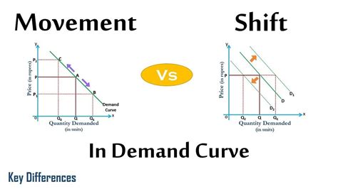 The Diagram Shows Two Product Demand Curves On The Basis Of This Diagram We Can Say That ...