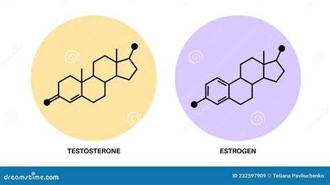 Estrogen Chemical Formula. Estrogen Chemical Molecular Structure ...