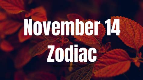 November 14 Zodiac Sign: Astrology chart, Love, Traits, and Career in ...