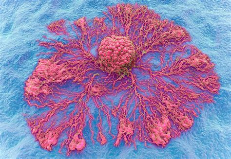 The process and steps of cancer cell metastasis - ADC Technologies