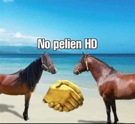 No pelien HD : r/DylanteroYT