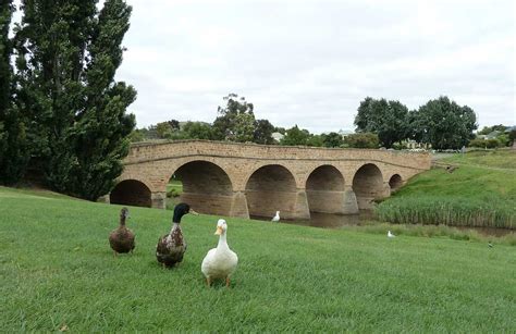 Richmond Bridge, Tasmania