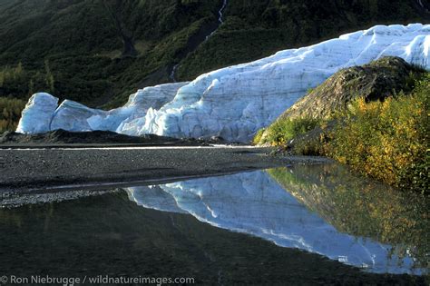 Exit Glacier | Alaska | Photos by Ron Niebrugge