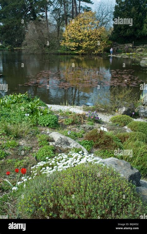 Cambridge University Botanic Garden , England Stock Photo - Alamy