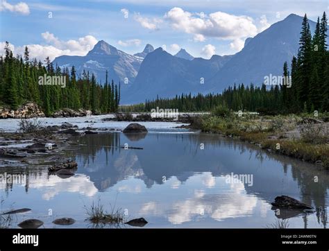 Panoramic image of the Athabasca River, Jasper National Park, Rocky ...