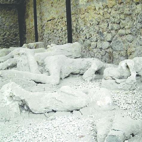 Plaster casts of human bodies at the " Garden of the Fugitives " from... | Download Scientific ...