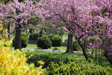 Morven Park | Davis mansion, equestrian center