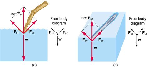 Cohesion and Adhesion in Liquids: Surface Tension and Capillary Action | Physics