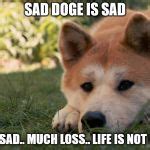 sad doge :[ Meme Generator - Imgflip