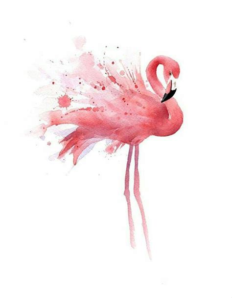 Watercolor Flamingo Wallpapers - Top Free Watercolor Flamingo ...