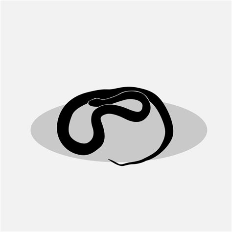 Snake vector png 30914050 Vector Art at Vecteezy