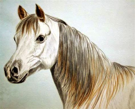 how to paint a horse, watercolour horse painting tutorial, free art lesson Watercolor Horse ...