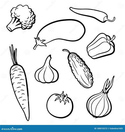 Vector Set Vegetables Silhouettes Isolated Vector Silhouettes Stock Photography | CartoonDealer ...