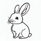 A Cute Rabbit coloring Page  Download Print Or Color Online For Free sketch template