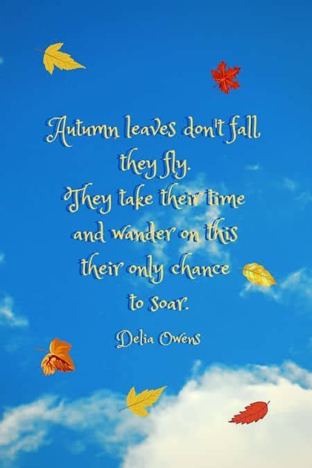 50+ Best Fall Quotes and Autumn Quotes to Enchant the Soul!