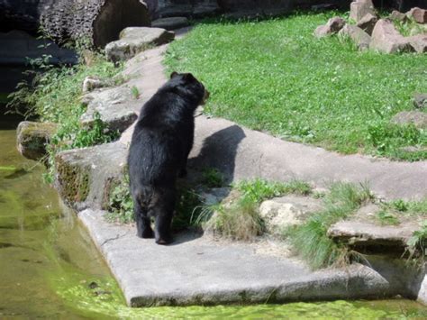 Nuremberg ZOO - Pieces of my life and heart