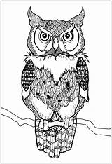 Printable Owl Coloring Pages For Kids sketch template