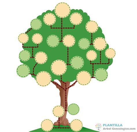 Proces de realizare a drumurilor Relua Caligrafie arbol genealogico ...