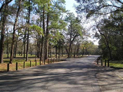 Houston Nature Walks: Picnic Loop at Memorial Park