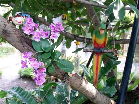 Flowers in the garden with parrots 11702661 Stock Photo at Vecteezy