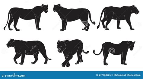 Hand Drawn Silhouette of Female Lion Stock Vector - Illustration of ...