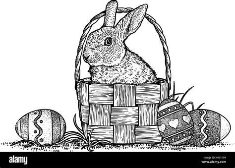 Rabbit, bunny, basket, eggs, easter illustration, drawing, engraving, line art Stock Vector ...