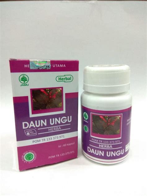 HERBAL DAUN UNGU | Sehat Herba