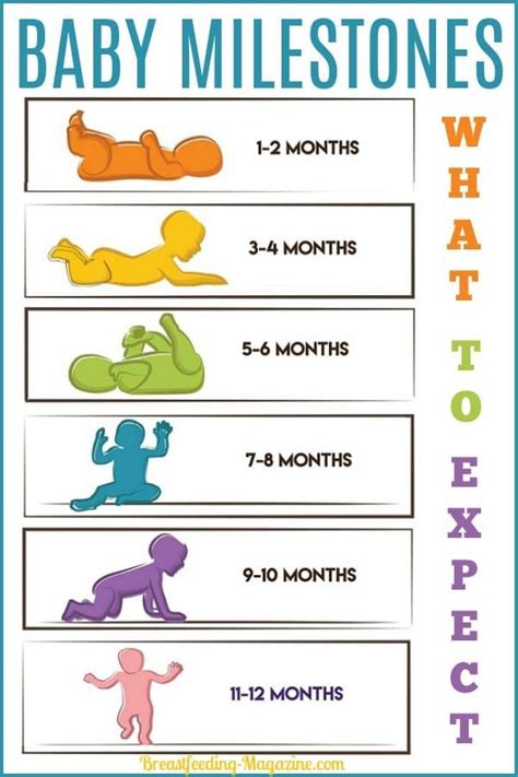 Baby's First-Year Weight Milestones: What You Need To Know - Dixon Verse