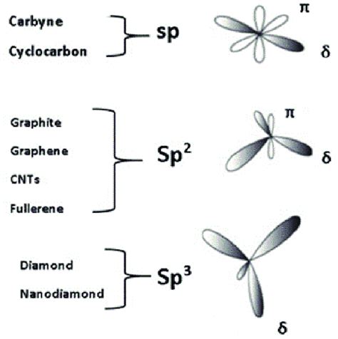 Representation of carbon structures hybridization states. | Download ...