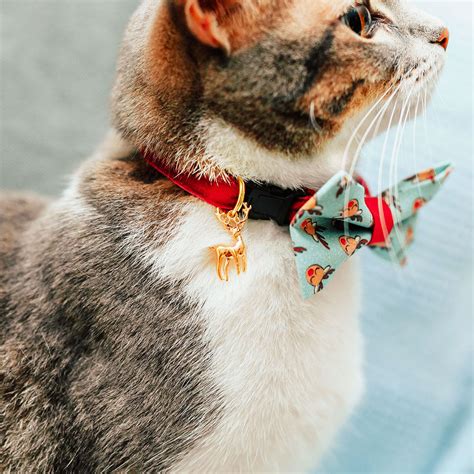 Velvet Cat Collar - "Garnet Red" - Luxe Red Velvet - Breakaway Buckle - Made By Cleo