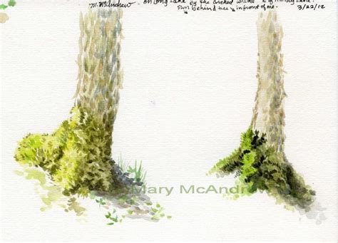 15+ Drawing Of A Moss Plant in Transparent Images [1.4mb] - New PNG For You