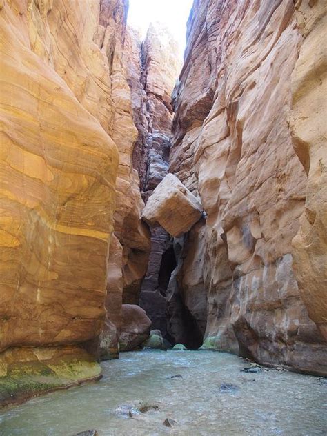 Wadi Mujib Canyon, Jordan | Jordan travel, Canyon, Scenic routes