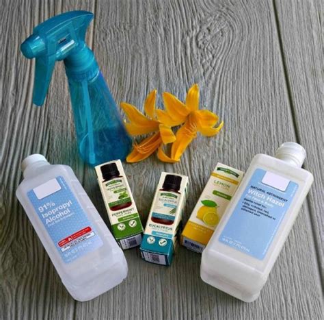 ingredients-bug-spray - The Gardening Cook