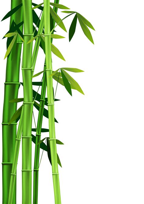 Bamboo border free download clipart 3 | Bamboo art painting, Bamboo art, Bamboo