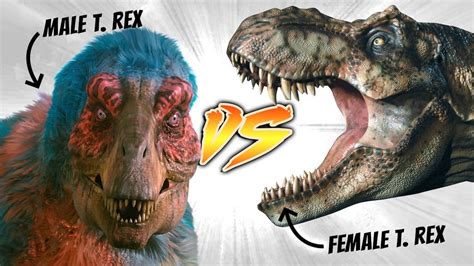 Male T. rex VS Female T. rex [Who Would Win?] - YouTube