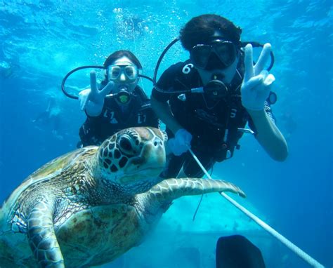 [SALE] Get 3% Off Scuba Diving Lessons in Guam with JNS Dives - Ticket KD