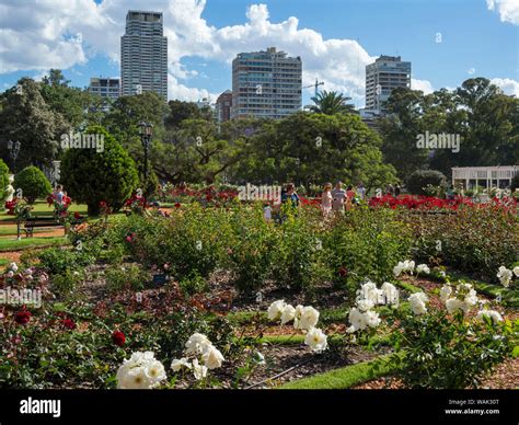 Bosques de Palermo park in Palermo, the rose garden (El Rosedal de ...