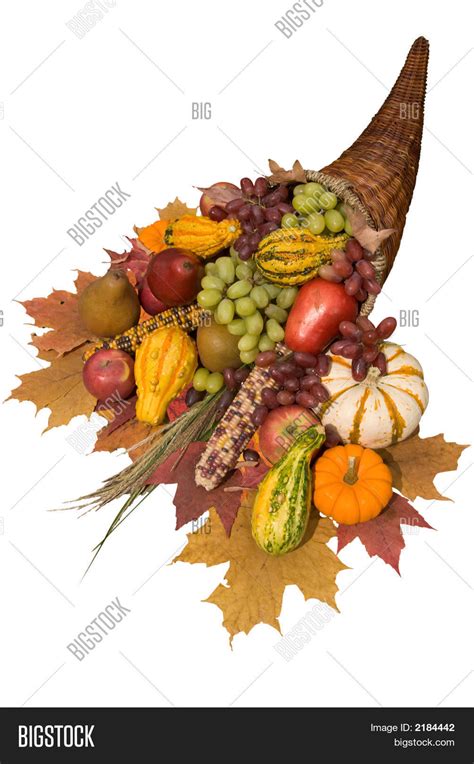 Cornucopia Fall Image & Photo (Free Trial) | Bigstock