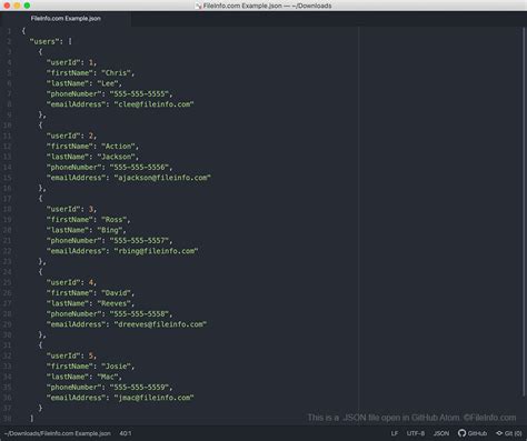 JSON File - What is a .json file and how do I open it?