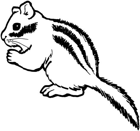 Sleeping Chipmunk Coloring Pages