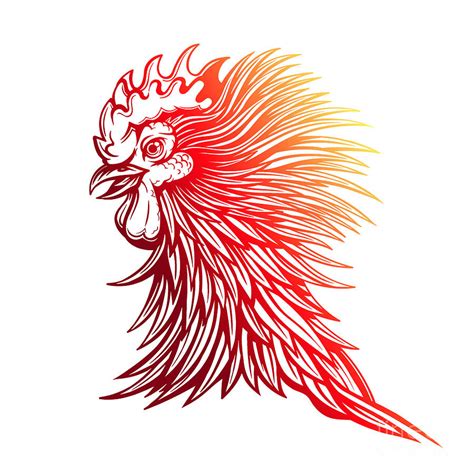 Rooster Head Drawing | Free download on ClipArtMag